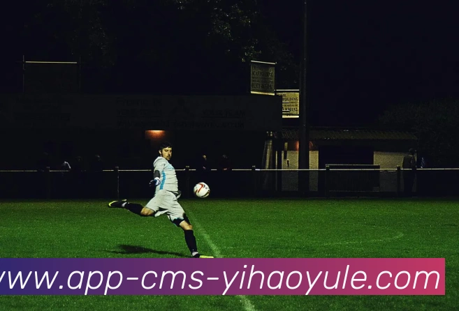 壹号娱乐APP平台生态图