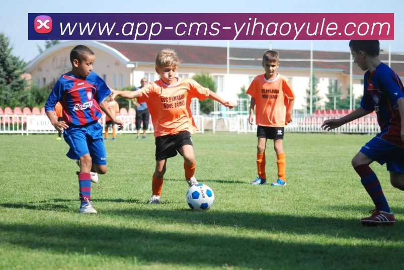 数据防护可视化